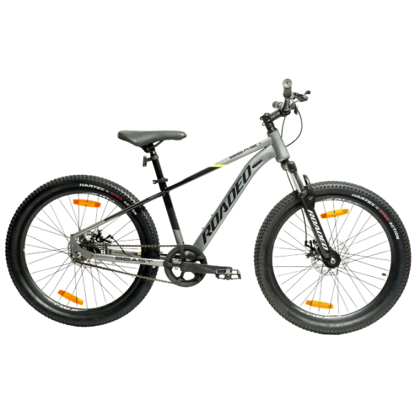 Hercules Roadeo Beast – SS